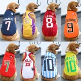 Летом Big Dog Clothing, крупные золотые волосы Golden Ratabladama Samsic Alaska Jersey