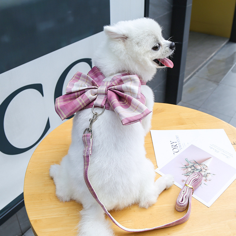 狗狗牵引绳狗链子中小型犬遛狗绳子背心式泰迪柯基法斗宠物胸背带 - 图2