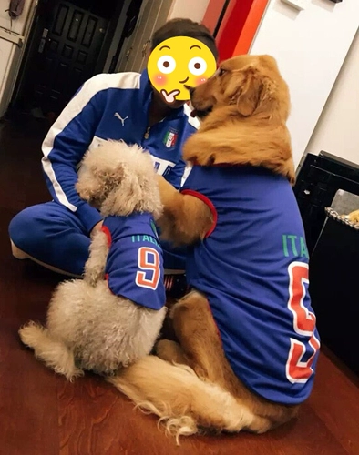 Летом Big Dog Clothing, крупные золотые волосы Golden Ratabladama Samsic Alaska Jersey