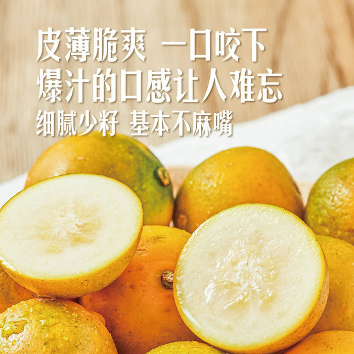 山姆代购广西柳州脆蜜金柑1.1kg新鲜橘子水果礼盒香甜多汁金桔,淘宝优惠券,粉丝福利购,淘宝优惠卷