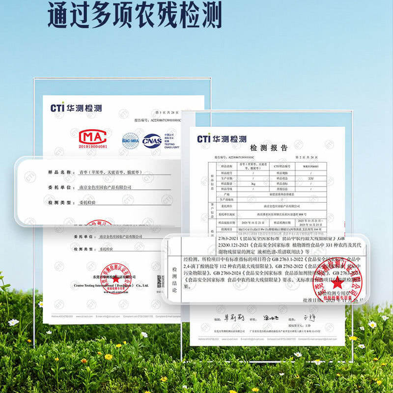 山姆超市代购2kg苹果枣大果青枣新鲜冬枣大枣水果酥脆清甜礼盒装,淘宝优惠券,粉丝福利购,淘宝优惠卷