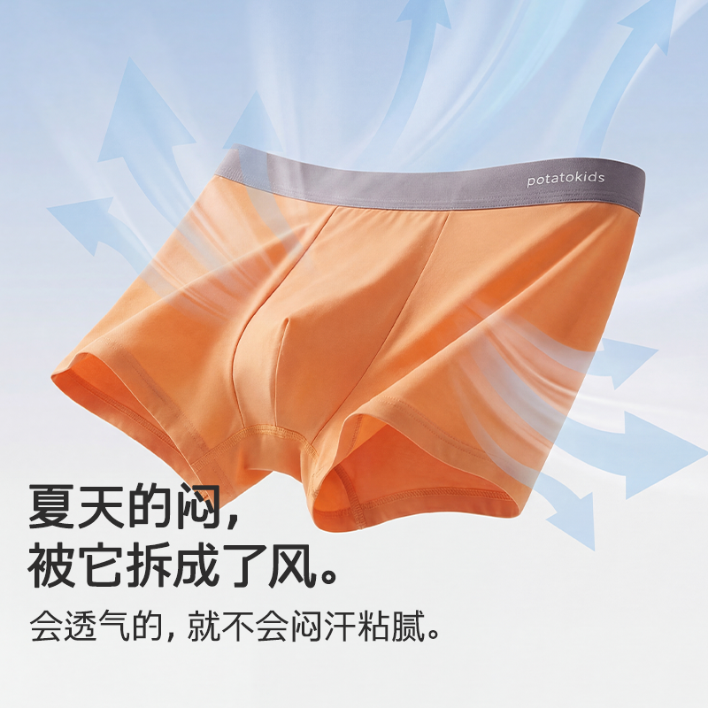 potatokids小番薯男童莫代尔平角内裤透气