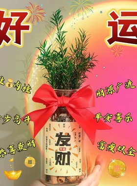 桌面摆件中式同事玻璃朋友植物调