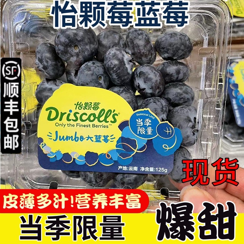 云南蓝莓王当季限量大果脆甜Driscolls限量版蓝莓空运 - 图0