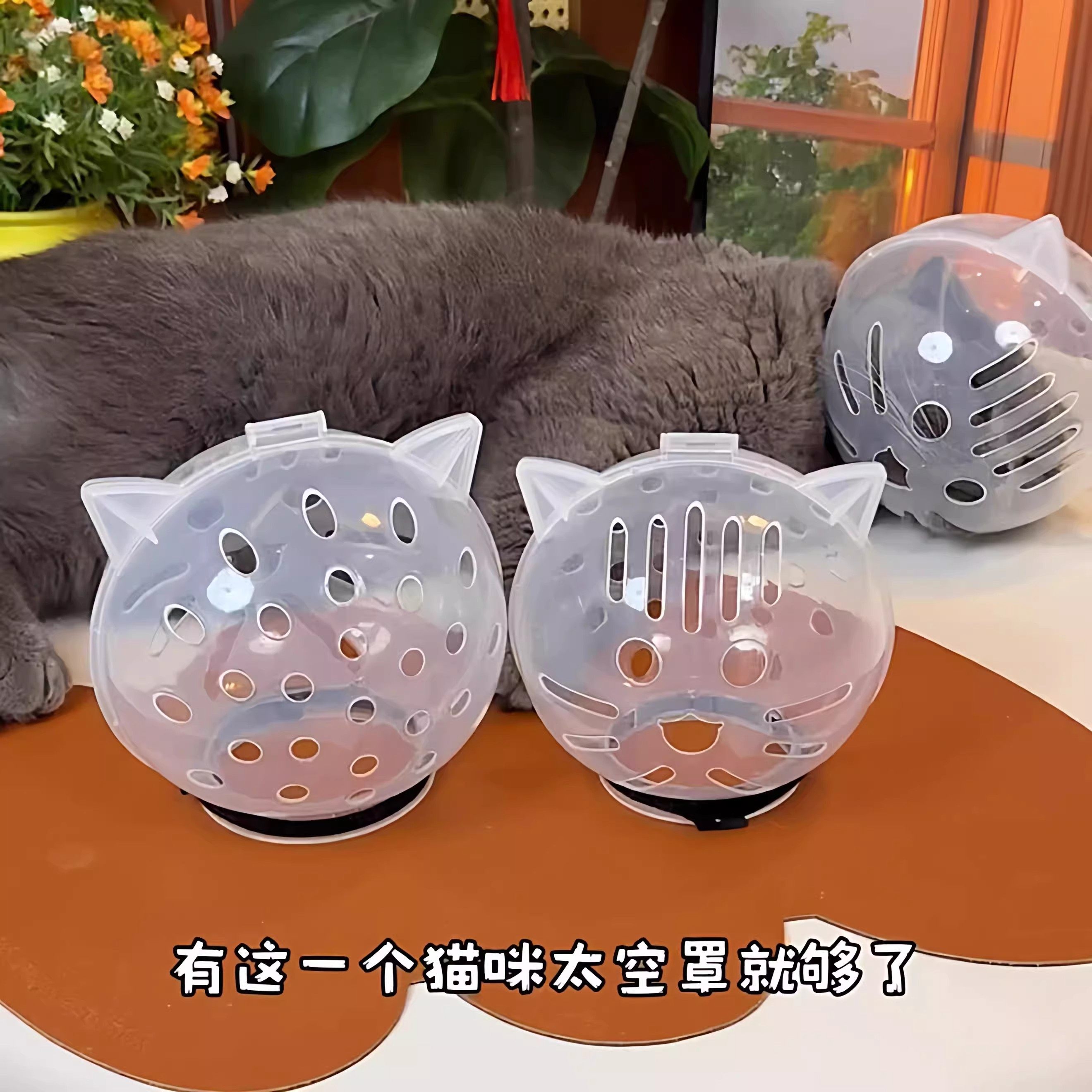 猫咪防舔咬伊丽莎白圈宠物透明透气防护圈太空头罩绝育剪指甲上药,淘宝优惠券,粉丝福利购,淘宝优惠卷