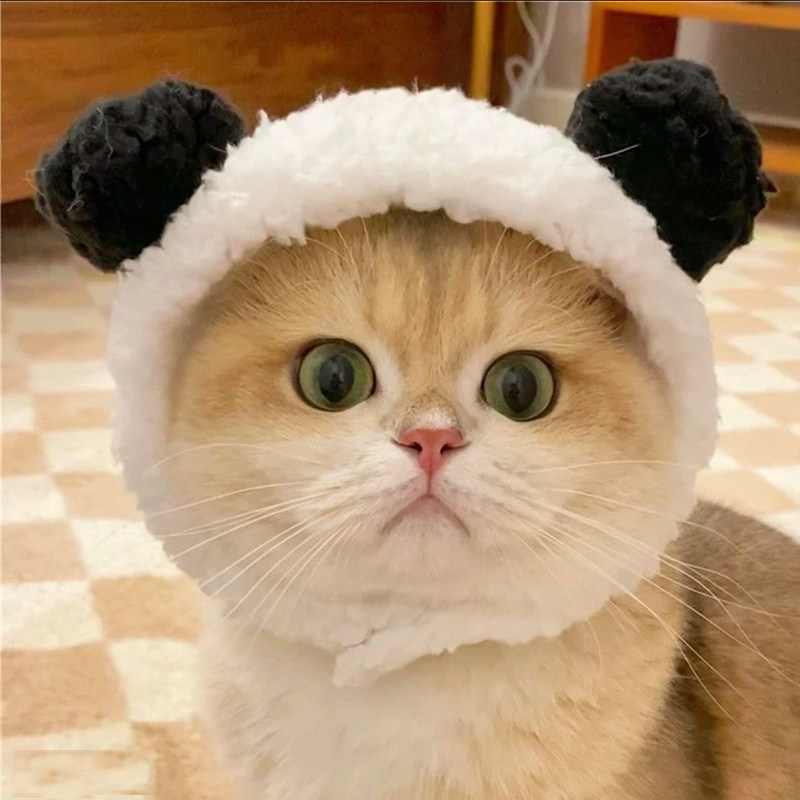 猫咪帽子可爱熊猫头套小猫小狗狗金渐层德文冬季搞怪变身拍照头饰