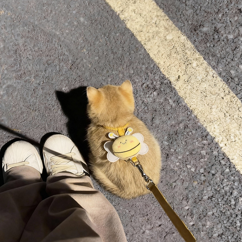 猫咪牵引绳防挣脱外出专用猫绳小奶猫溜猫神器工字型胸背带可调节,淘宝优惠券,粉丝福利购,淘宝优惠卷