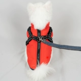 Домашние животные осень и зима со собачьей одеждой для собак, модных, маленьких и средних собак из тяги из тяги кошки зима