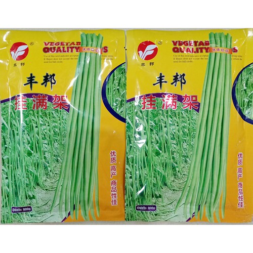 丰邦挂满架豇豆种子中早熟高产长豆角江缸豆种籽春夏秋季播200克/ - 图0