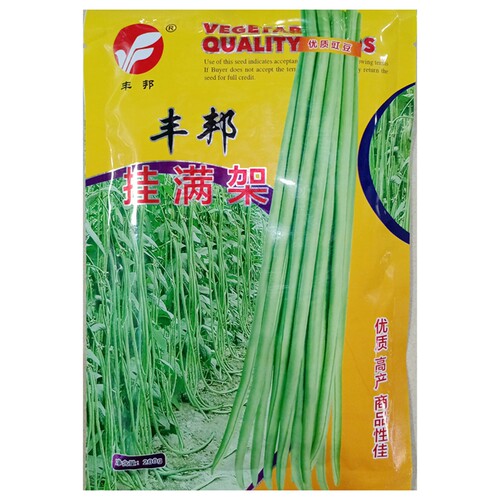 丰邦挂满架豇豆种子中早熟高产长豆角江缸豆种籽春夏秋季播200克/ - 图3