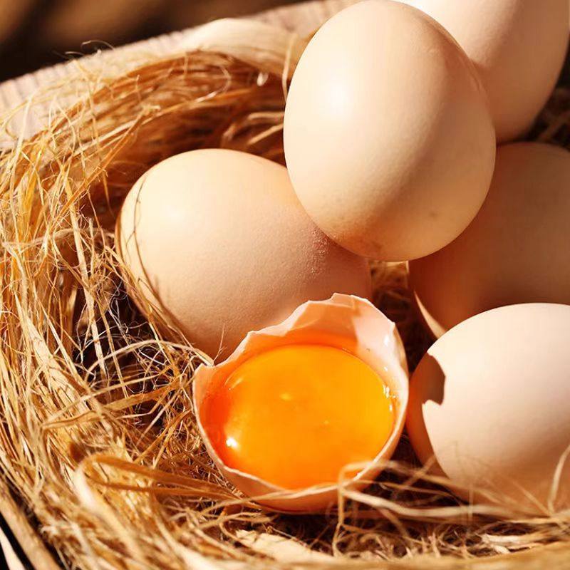 农家散养土鸡蛋正宗柴鸡蛋新鲜笨鸡蛋现捡现发谷物喂养初生蛋整箱,淘宝优惠券,粉丝福利购,淘宝优惠卷
