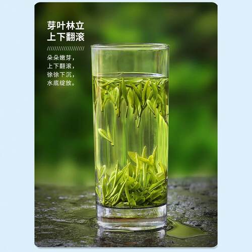 乌米尖正宗霍山黄芽2026新茶雨前500g散装黄茶高山茶农直销店包邮 - 图2