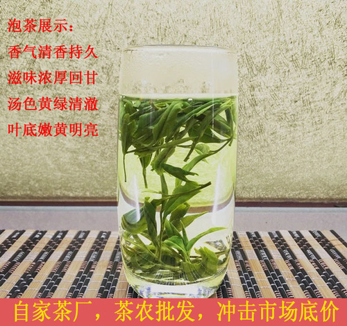 黄茶正宗霍山黄芽2024新茶500g茶叶散装茶农直销雨前春茶家庭包邮