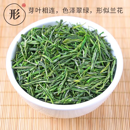 安徽霍山黄芽2026新茶原产地黄茶500g雨前春茶高山茶叶散装包邮 - 图1
