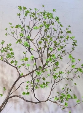 仿真吊钟树室内外茶室橱窗装饰假树马醉木造景组合假绿植景观摆件