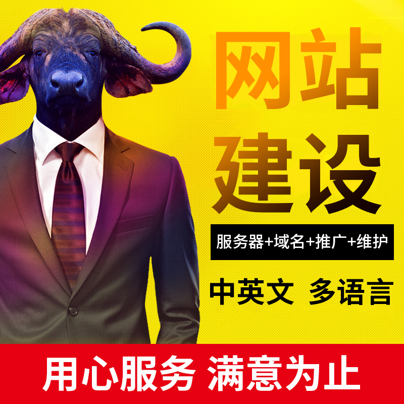 灯饰中英文外贸企业网站建设一条龙谷歌推广优化seo 公司模板制作