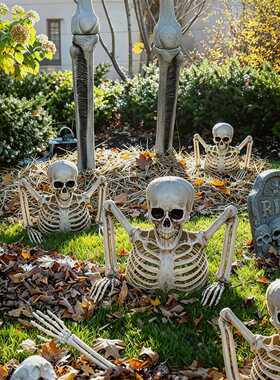 HalloweenHalfbodySkeleton