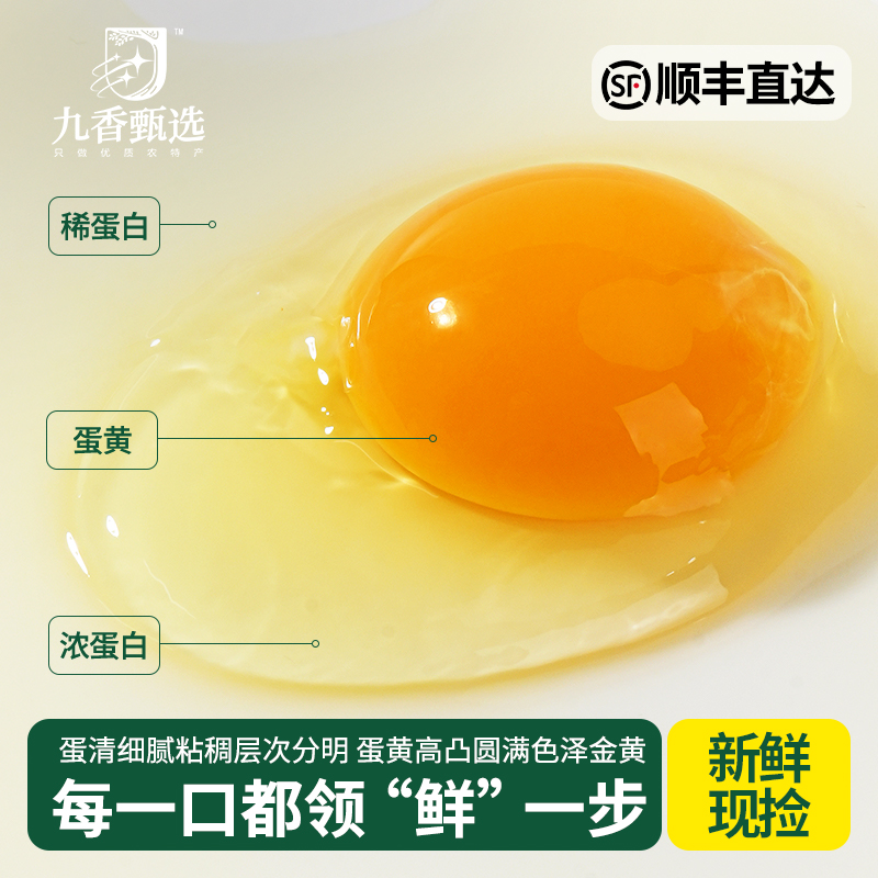 正宗农家散养乌鸡蛋新鲜纯农村绿壳土鸡蛋无抗无激素草鸡蛋笨鸡蛋