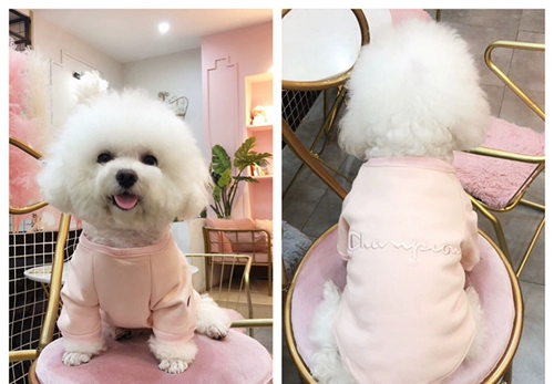 Модная собачья одежда маленькая собака Тедди Бишон Бой