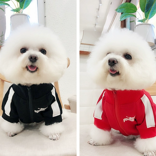 Модная собачья одежда маленькая собака Тедди Бишон Бой