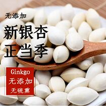 2023 Fresh gingko fruit with shell white fruit seed Peacutte produces hundreds of fruits of origin with straight hair without bleaching