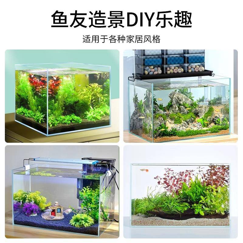 超白草缸鱼缸客厅小型裸缸造景南美原生溪流缸桌面生态乌龟缸鱼缸 - 图1