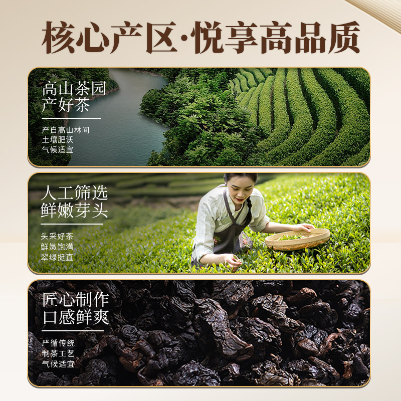 黑乌龙茶茶包三某利平替油切高茶多酚高浓度独立小包装冷泡茶茶叶