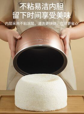 不夏新家用电饭煲电饭煲内胆智能