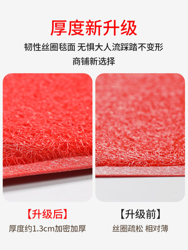 入户门地垫进门大门口出入平安门垫2025新款红色丝圈脚垫门外地毯 - 图3