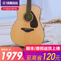 Yamaha guitar beginner folk veneer fg800 starter electric box wood guitar newhand student male and female 41 inch