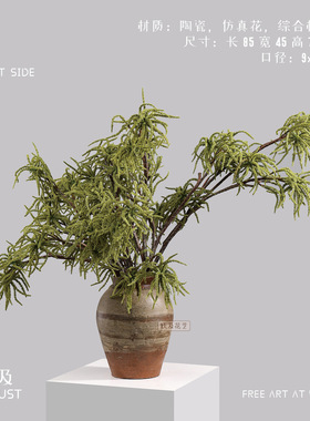 妖及软胶蕨类植物造景插花摆件