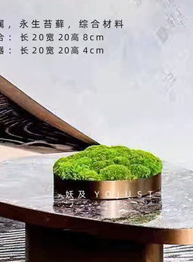 妖及简约新中式桌面仿真青苔藓