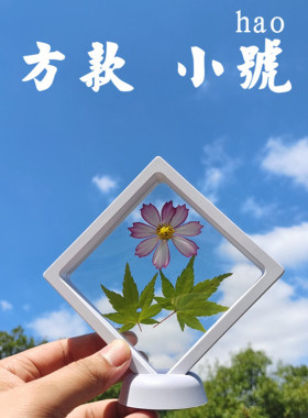 押花器干花展示架相框植物标本