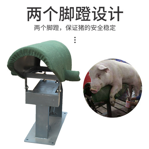 加重加厚假母猪台公猪采精假猪台帆布海绵假母台人工受精养猪设备 - 图1