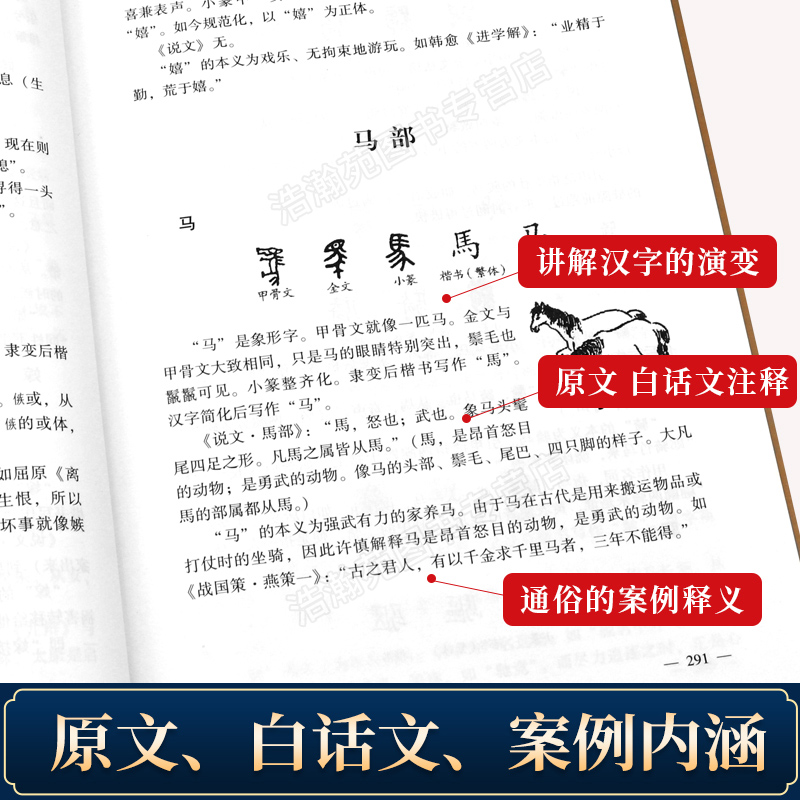 说文解字许慎著正版全版全今释图解540部首篆书字注解精装大字本说文解字注段玉裁注中华书局小学生版图解汉字古汉语儿童-图2