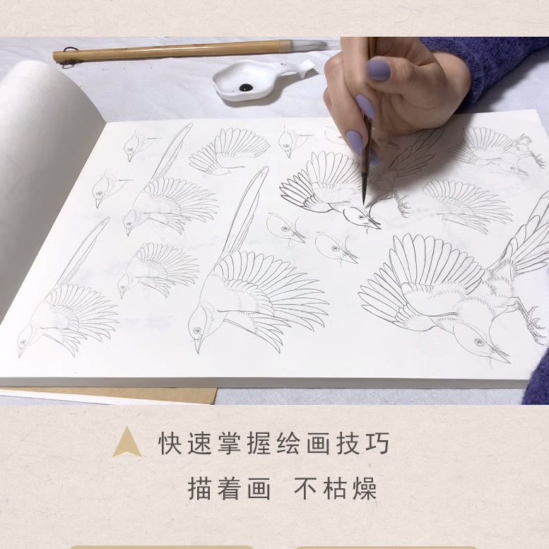 中国画白描 花鸟入门篇 国画临摹画册 吴樵六著 技法入门基础教程中国工笔画稿白描勾线牡丹涂色宋画临摹册初自学者名家手绘 - 图1