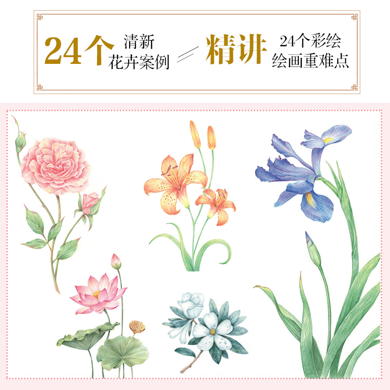 【正版包邮】彩铅清雅绘 二十四节气花 彩铅画教程书绘画书籍手绘 零基础彩铅教学册 彩铅画入门教程书彩铅画临摹本 彩铅临摹画册 - 图0