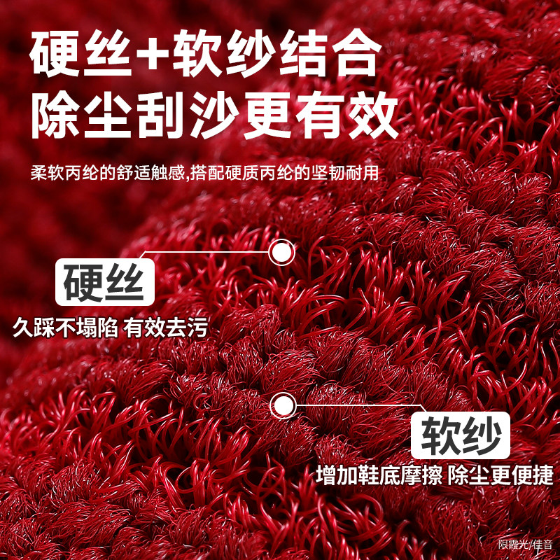 大江地垫入户门进门地毯家用门口防滑垫新款除尘高级耐磨免洗脚垫,淘宝优惠券,粉丝福利购,淘宝优惠卷