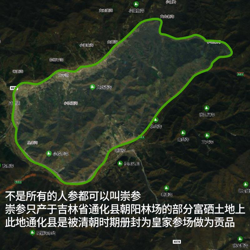 【坏参包赔】长白山新鲜包邮鲜人参 崇参人参/园参及其制品