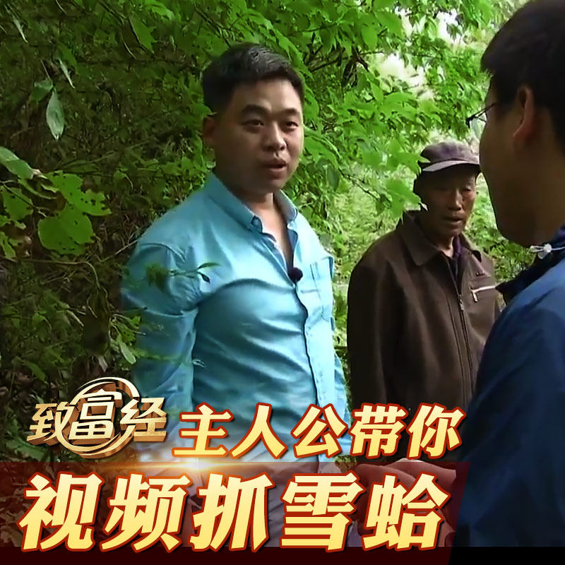 东北长白山林蛙油正品净油礼盒线油 崇参雪蛤油