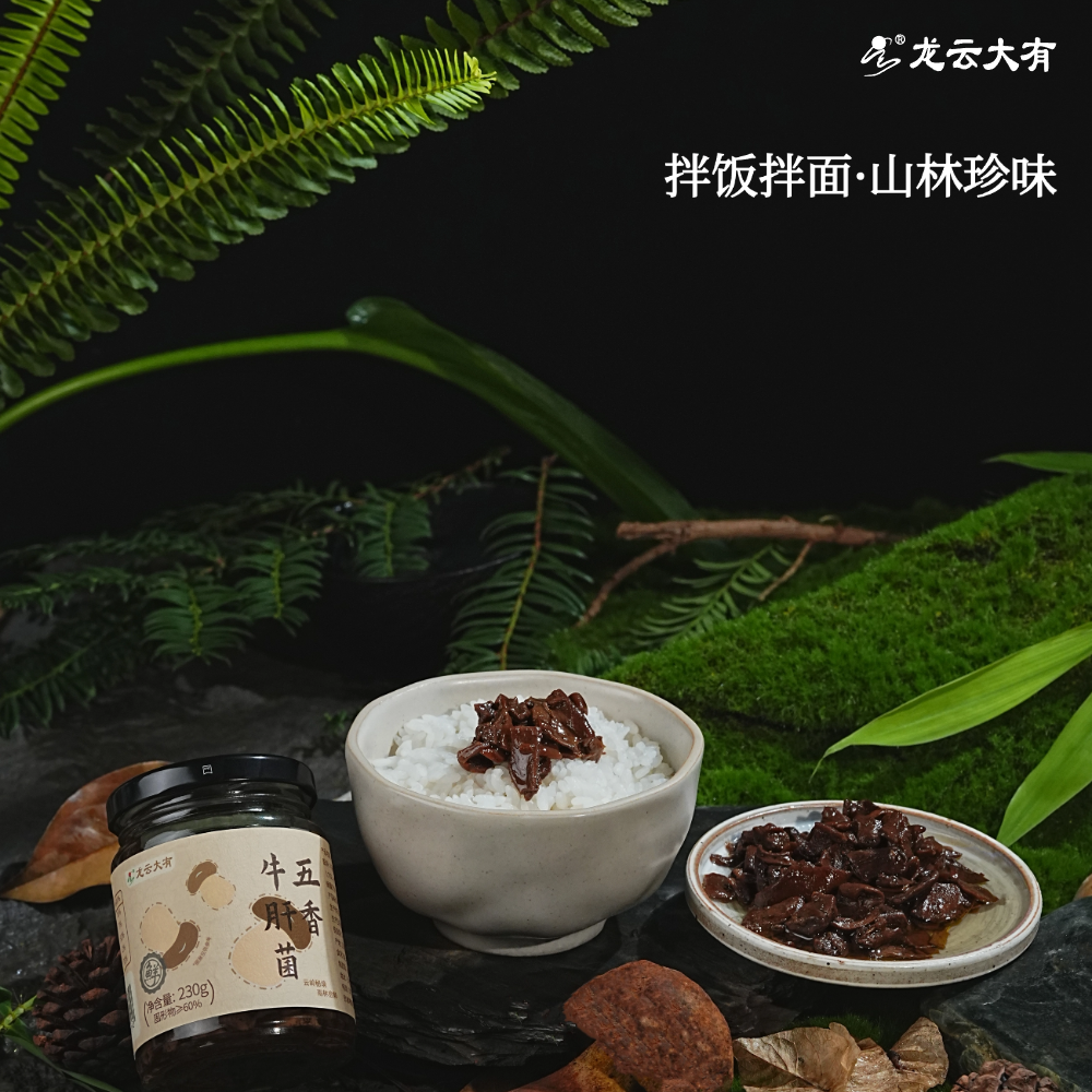 龙云大有五香牛肝菌菇云南野生牛肝菌下饭酱拌面酱罐头不掺杂菌 - 图1