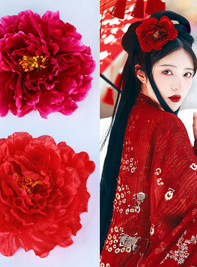 拍照大唐气韵富贵牡丹花朵