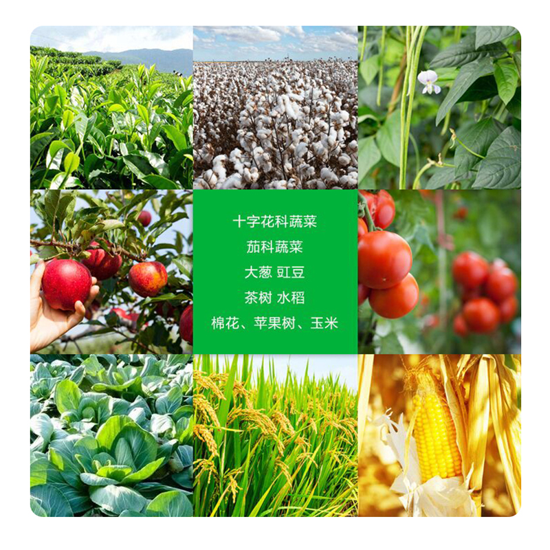 12%甲维盐虫螨腈睛杀虫剂 卷叶虫菜青虫甜菜夜蛾斜纹夜蛾,淘宝优惠券,粉丝福利购,淘宝优惠卷