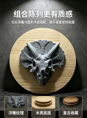 三角龙头骨化石恐龙化石浮雕家居摆件玄关墙壁