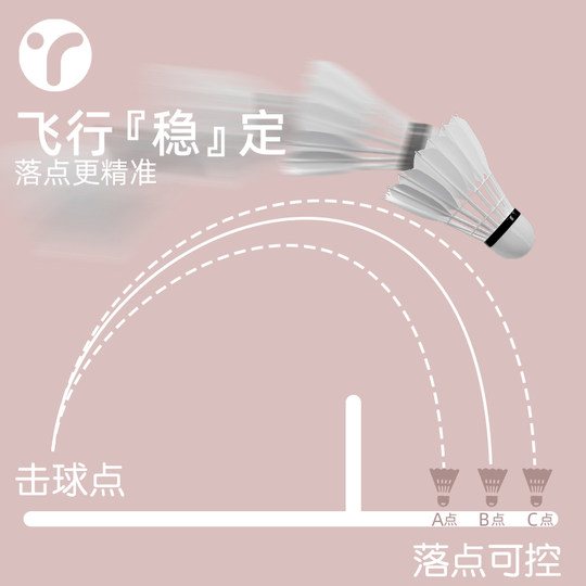 羽毛球耐打正品旗舰店官方专业训练球防风新款户外练习鹅毛3只装6