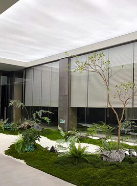 仿真蕨类绿植种造景苔藓植物堆景