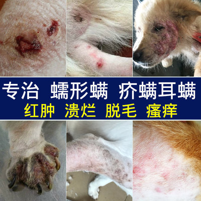 狗狗螨虫皮肤病疥螨蠕形螨口服药犬螨虫药伊维菌素片宠物寄生虫药 虎窝淘
