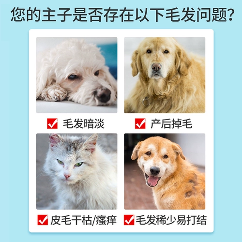 Viskang Lecithine Beauty Core 300G*2 Can Can Dog Dog и кошка мягкие фосфолипидные плюшевые мишки медведя