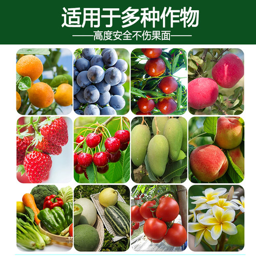 中量元素肥有机螯合糖醇钙镁果树冲施滴灌肥钙镁同补柑橘葡萄专用 - 图1