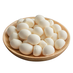 内蒙古特产入口即化奶酪